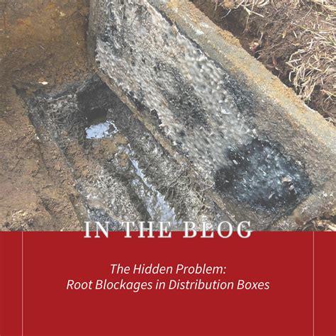 The Hidden Problem: Root Blockages in Distribution Boxes